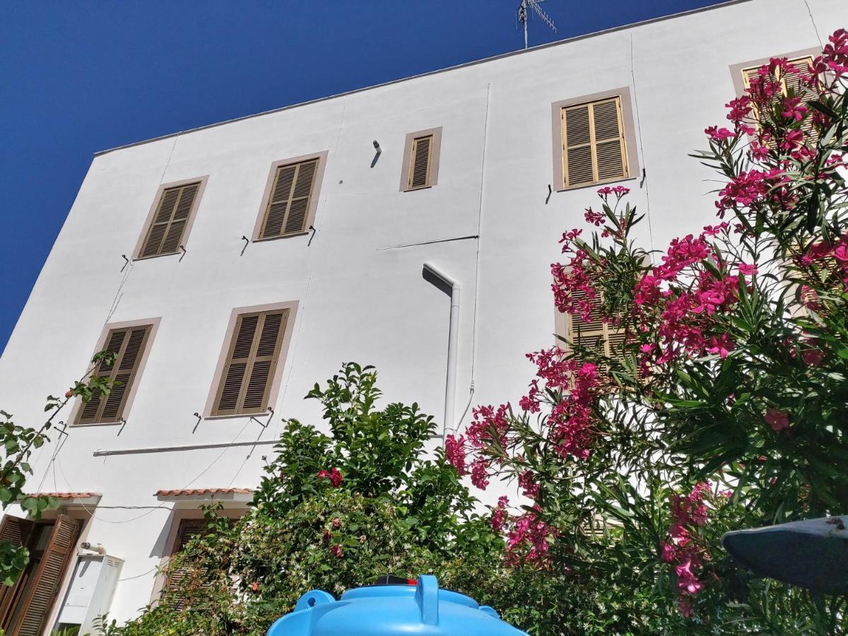 Whole Holiday Home Apartment Splendid Civitavecchia Da Pamino & Priscilla Exterior foto