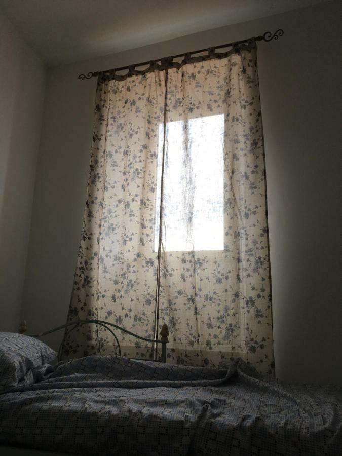 Whole Holiday Home Apartment Splendid Civitavecchia Da Pamino & Priscilla Exterior foto